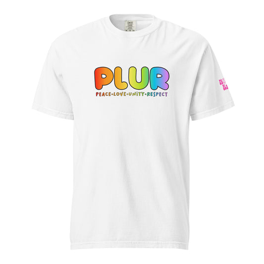 PLUR Rainbow Heavyweight T-shirt